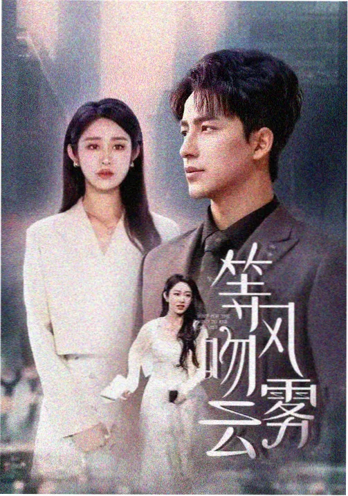 悬疑推理剧推荐 第七个证人 刑侦剧海报